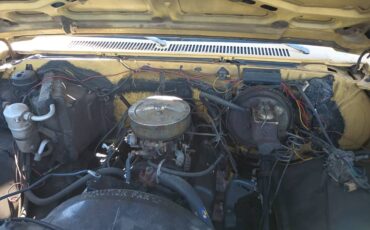 Chevrolet-silverado-1981-yellow-9