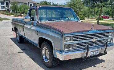 Chevrolet-silverado-1983-5