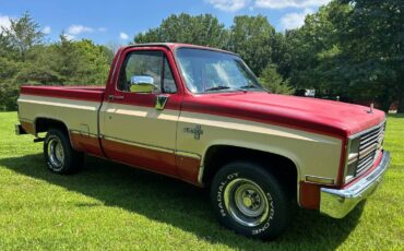 Chevrolet-silverado-1984-5