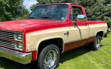 Chevrolet-silverado-1984-7