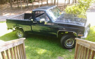 Chevrolet-silverado-1985-blue