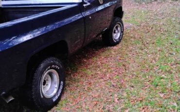 Chevrolet-silverado-1985-blue-6