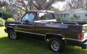 Chevrolet-silverado-1986-brown-2