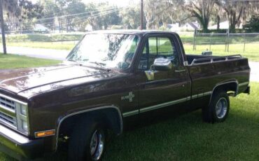 Chevrolet-silverado-1986-brown-3