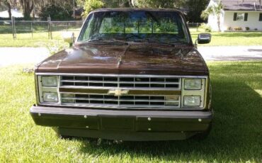 Chevrolet-silverado-1986-brown
