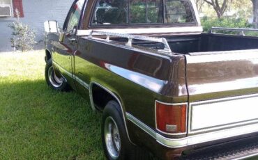 Chevrolet-silverado-1986-brown-4
