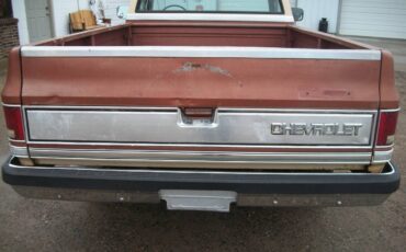 Chevrolet-silverado-1987-brown-14