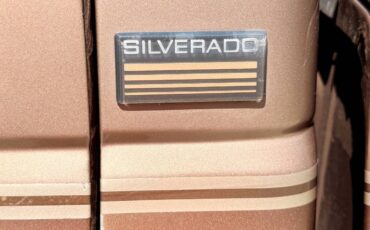 Chevrolet-silverado-1994-brown-10