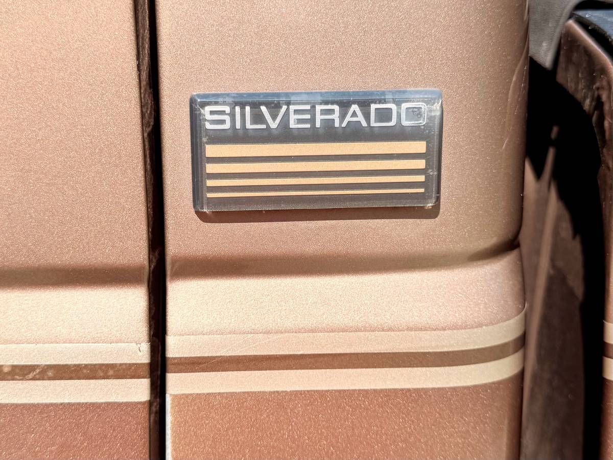 Chevrolet-silverado-1994-brown-10