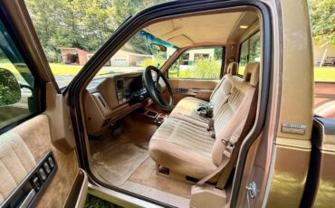 Chevrolet-silverado-1994-brown-2