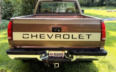 Chevrolet-silverado-1994-brown