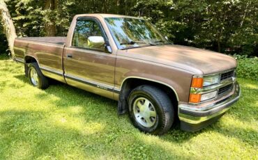 Chevrolet-silverado-1994-brown-4
