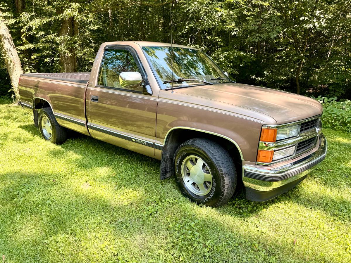 Chevrolet-silverado-1994-brown-4