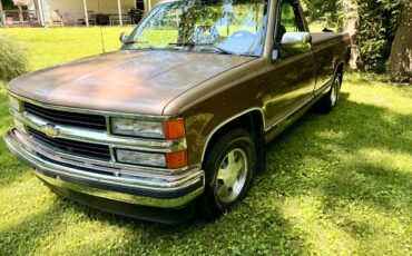 Chevrolet-silverado-1994-brown-6