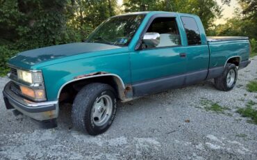 Chevrolet-silverado-1994-green-8