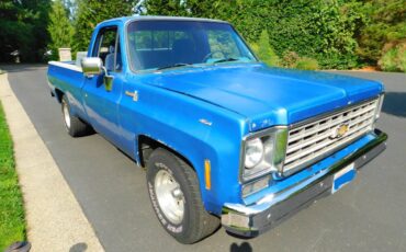Chevrolet-silverado-c10-1976-blue-2