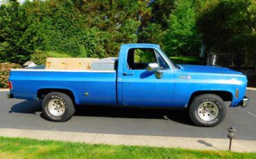 Chevrolet-silverado-c10-1976-blue-3