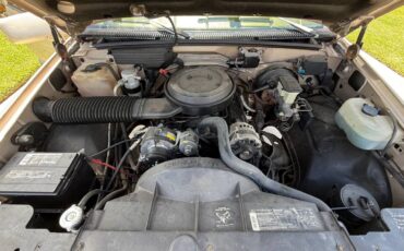 Chevrolet-silverado-c1500-1992-brown-5
