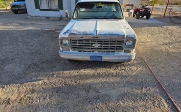 Chevrolet-silverado-custome-deluxe-c10-1976-1