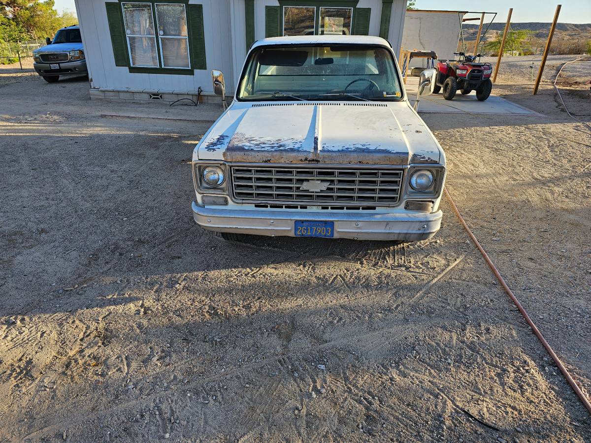 Chevrolet-silverado-custome-deluxe-c10-1976-1