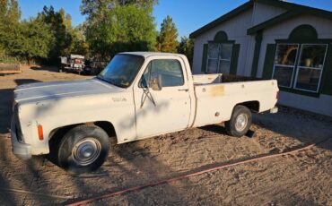 Chevrolet-silverado-custome-deluxe-c10-1976-16