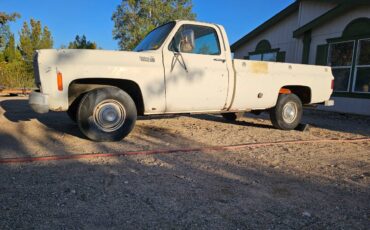 Chevrolet-silverado-custome-deluxe-c10-1976-17