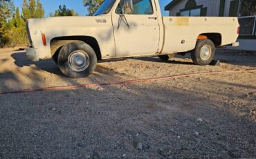 Chevrolet-silverado-custome-deluxe-c10-1976-18