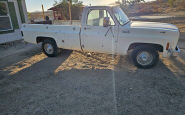 Chevrolet-silverado-custome-deluxe-c10-1976-2