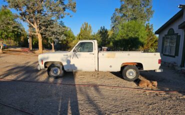 Chevrolet-silverado-custome-deluxe-c10-1976