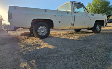 Chevrolet-silverado-custome-deluxe-c10-1976-4