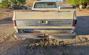 Chevrolet-silverado-custome-deluxe-c10-1976-5