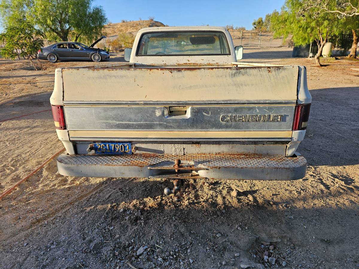 Chevrolet-silverado-custome-deluxe-c10-1976-5