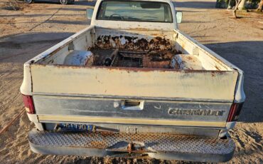 Chevrolet-silverado-custome-deluxe-c10-1976-6