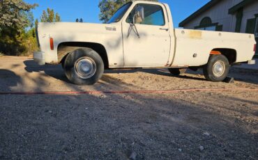 Chevrolet-silverado-custome-deluxe-c10-1976-8
