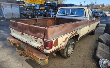 Chevrolet-silverado-diesel-1980-brown-2