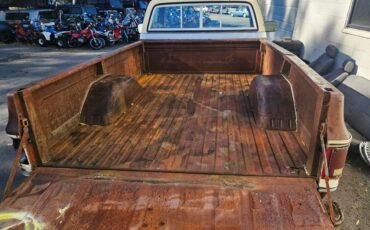 Chevrolet-silverado-diesel-1980-brown-4