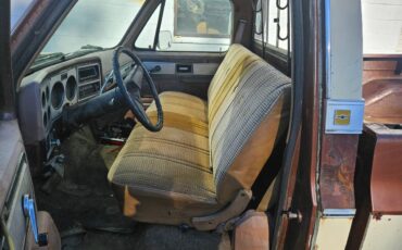 Chevrolet-silverado-diesel-1980-brown-6