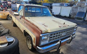 Chevrolet-silverado-diesel-1980-brown-8