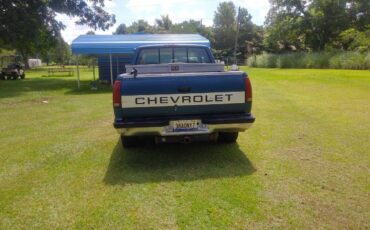 Chevrolet-silverado-extended-cab-pup-1992-blue-8