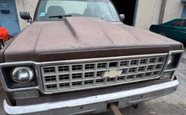 Chevrolet-silverado-k10-1978-brown-10