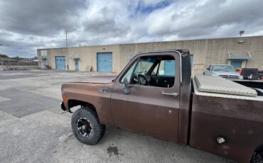 Chevrolet-silverado-k10-1978-brown-15