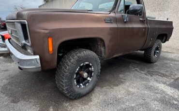 Chevrolet-silverado-k10-1978-brown-6
