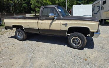 Chevrolet-v10-1987-1