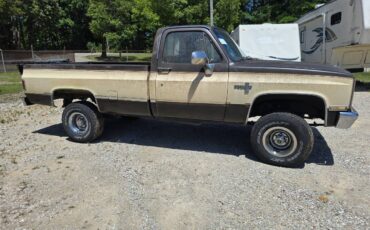 Chevrolet-v10-1987