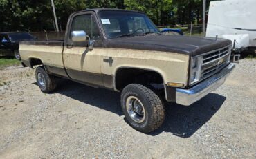 Chevrolet-v10-1987-4