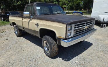 Chevrolet-v10-1987-5