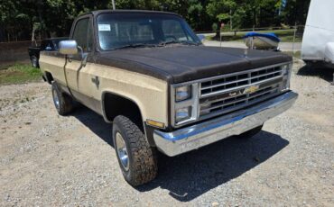 Chevrolet-v10-1987-6
