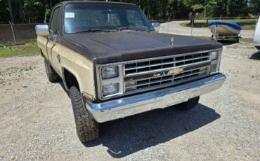 Chevrolet-v10-1987-7