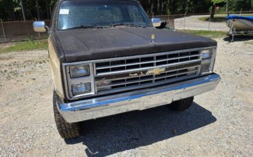 Chevrolet-v10-1987-8