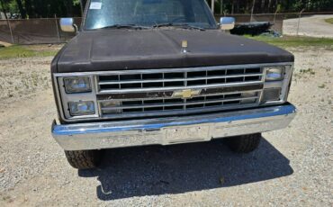 Chevrolet-v10-1987-9